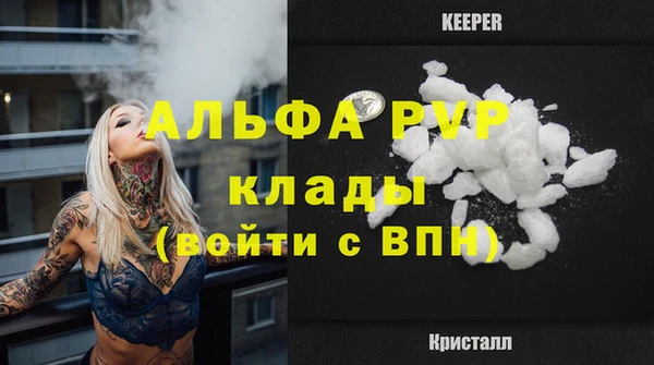 дмт Корсаков