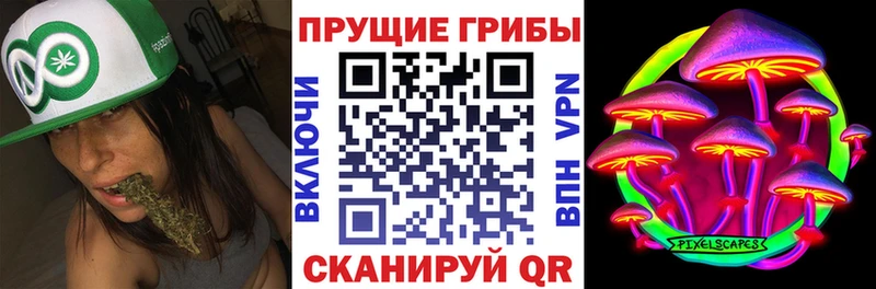 Галлюциногенные грибы Psilocybe  как найти наркотики  Облучье 